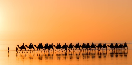 Half Price Australia Tours, couples and short breaks holiday experience