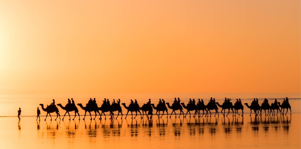 Half Price Australia Tours, couples and short breaks holiday experience