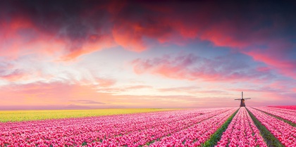 Europe’s Best by River & Ocean – Rhine, Iceland & Scotland Couples, ocean cruise and river cruise holiday experience