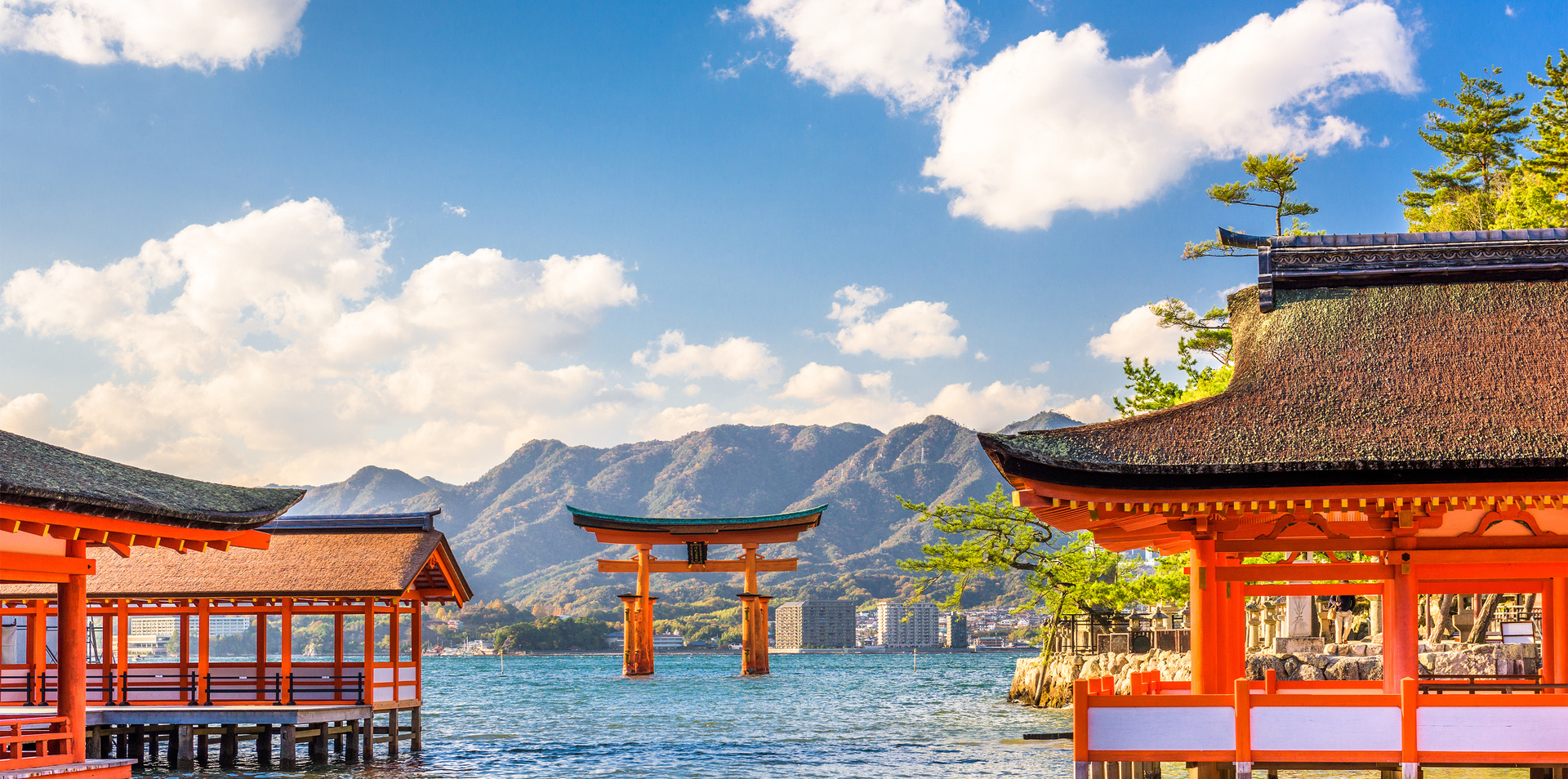 Japan Uncovered