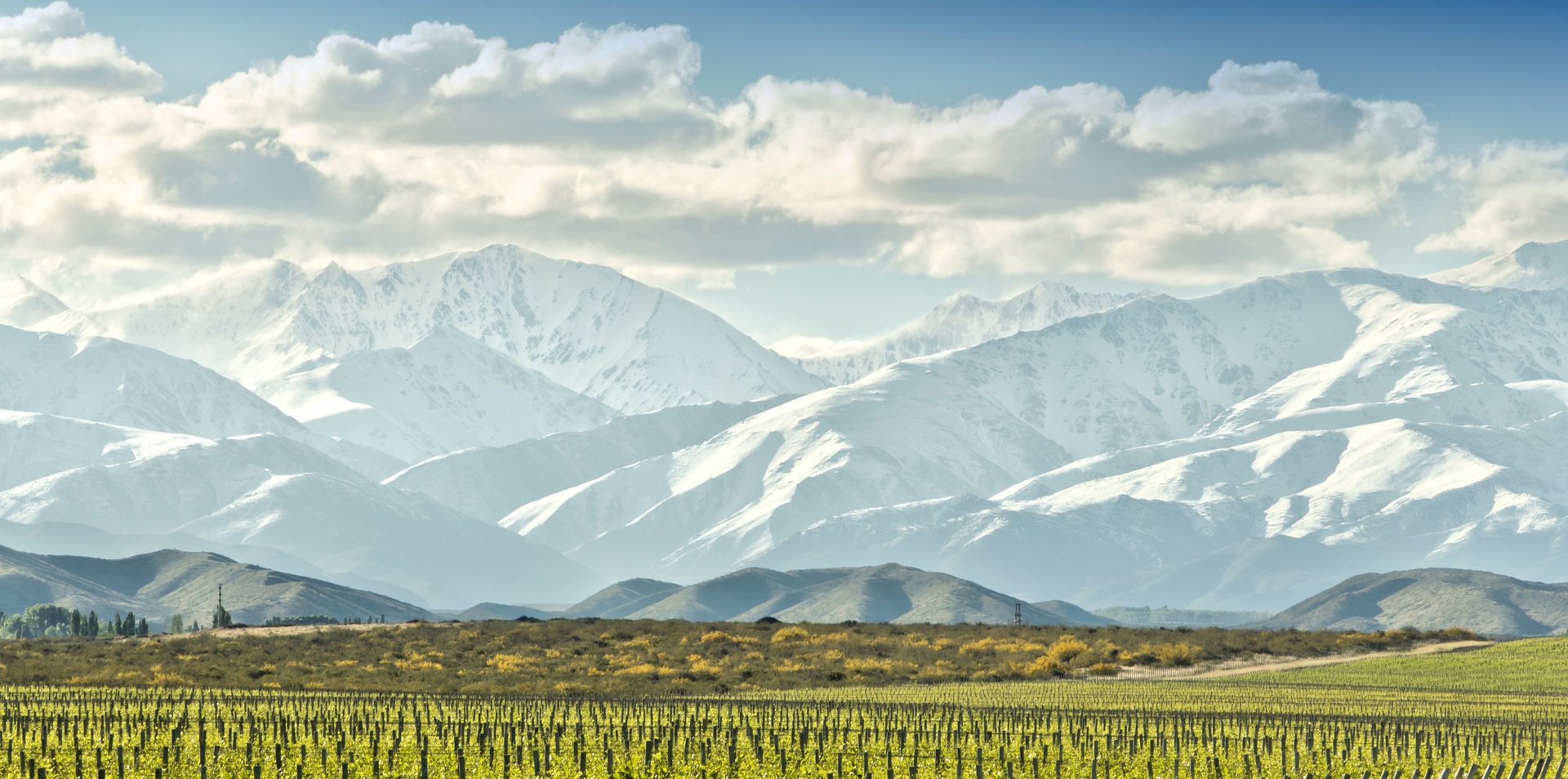 Wines & Wonders of South America