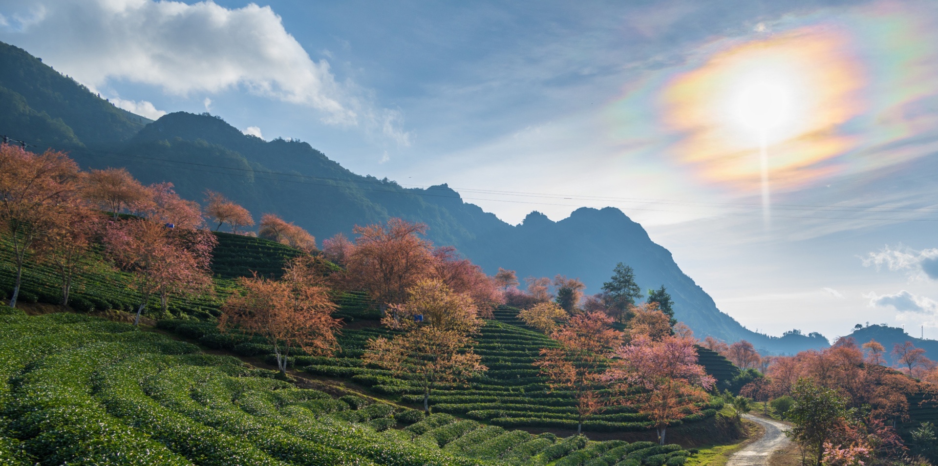Indochina Unscripted